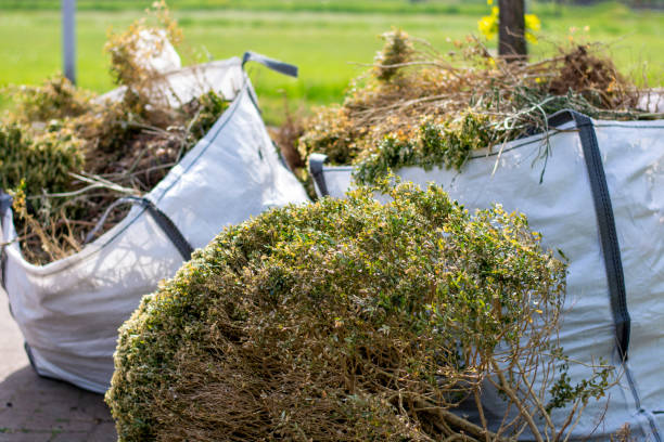Best Construction Debris Removal  in Mono Vista, CA